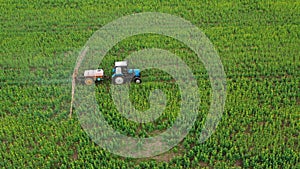 Aerial view of tractor sprays fertiliser on agricultural plants on the rapeseed field