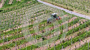 Aerial View of a Tractor Tilling Soil Between Rows of Young Vines in a Vineyard above Rudesheim,Germany