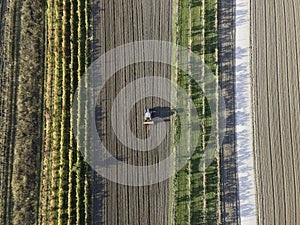 Aerial view of a tractor working in an agricultural field at sunset near Aquileia, Udine, Friuli Venezia Giulia, Italy