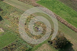 An aerial view of tractor working in a field