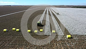 Aerial view of tractors harvesting cotton in the field in Goias, Brazil