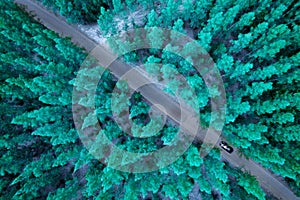 aerial view travel by car snow covered pine forest landscape aerial natural scenery of pine trees and intersecting roads Rural