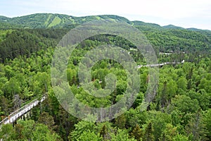 tree top walking path through the Laurentians