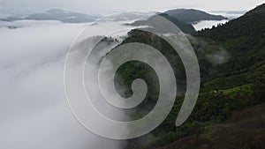 Aerial view of the trees in the valley with fog in the morning. Landscape of misty valley and mountain clouds in thailand.