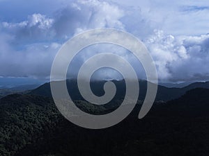 Aerial view of the trees in the valley with fog in the morning. Landscape of misty valley and mountain clouds in thailand. The