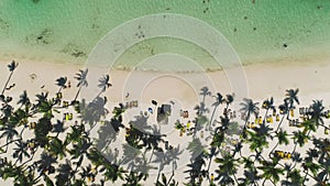 Aerial view of tropical beach with coconut palm trees and beautiful coastline