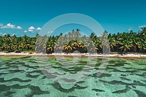 Aerial view of tropical beach, Dominican Republic