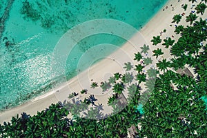 Aerial view of tropical beach, Dominican Republic photo