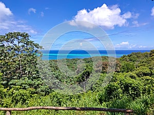 An aerial view of a tropical beach in Roatan Honduras