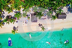 Aerial view of tropical beach. Saona island, Dominican Republic