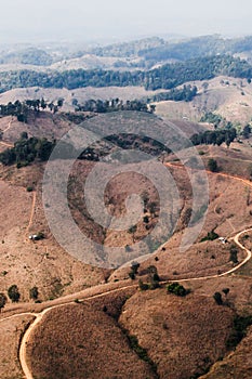 Aerial view of tropical forest have been destroyed