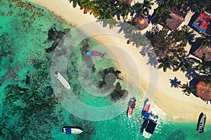 Aerial view of tropical island beach in Punta Cana resort, Dominican Republic