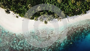 Aerial view of tropical island, Maldives