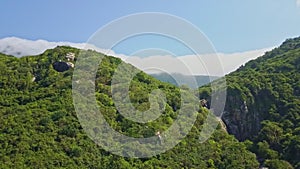 Aerial View Tropical Jungle on Hills White Clouds on Horizon