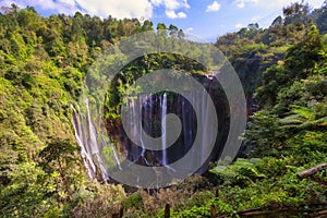 Aerial view of tropical rainforest Coban Sewu Waterfall in East Java photo