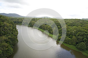 Aerial view of tropical rainforest with river