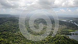 Aerial view of tropical rainforest on the shore of Gatun Lake