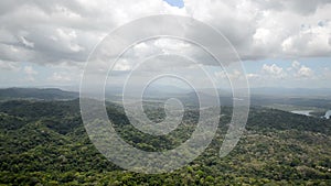 Aerial view of tropical rainforest on the shore of Gatun Lake