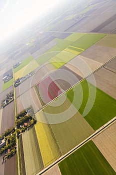 Aerial view of the tulip fields in North Holland