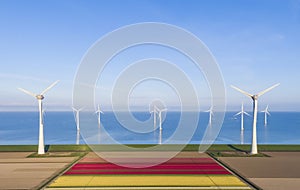 Aerial view of tulip fields and wind turbines in the Flevoland