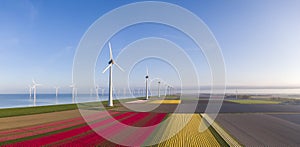 Aerial view of tulip fields and wind turbines in the Flevoland