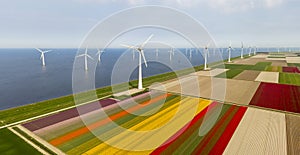 Aerial view of tulip fields and wind turbines in the Noordoostpolder municipality, Flevoland photo