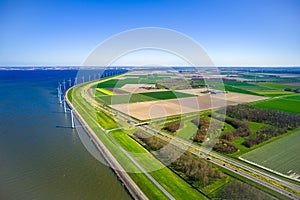 Aerial view of tulips fields in Netherlands with wind mills and blue sea