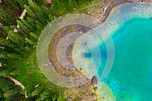 Aerial view of turquoise blue water of lake Carezza in Alps Dolomites. Lago di Karersee near fir tree forest