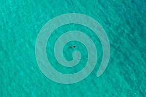 Aerial view of a turtle in blue water