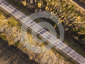 Aerial view of twisting road among the forest and trees. Russia.