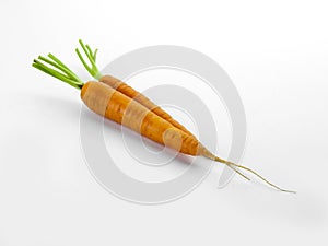 Aerial view of two carrots with their respective branches Abrir en el Traductor de Google Enviar comentarios photo