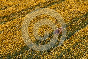 Aerial view of two farmers, man and woman, working in blooming rapeseed field