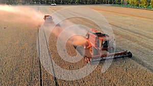 Aerial view two red combine harvester collect wheat grains in field golden color