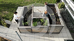 Aerial view of two women working in the garden, watering the plants, pulling the weeds out