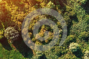 Aerial view of uncultivated countryside landscape with trees and bushes