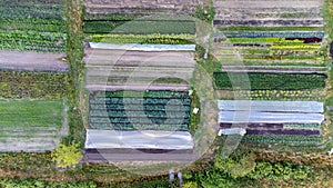 Aerial View of Urban Gardens and Glasshouses