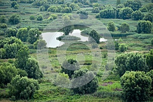 View of the Vacaresti Nature Park in Bucharest