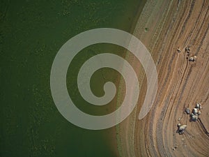 Aerial view of the ValdecaÃ±as reservoir, with green water from the algae and natural lines of the descent of the water. Natural