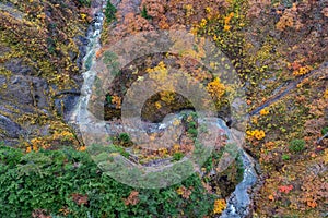 Aerial view of valley and stream in fall season.