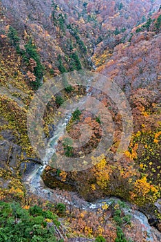 Aerial view of valley and stream in fall season.