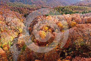 Aerial view of valley and stream in fall season.