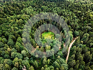 Aerial view of Velnio duobe or the Devil`s Pit, an impressive underground cavity, located at Aukstadvaris Regional Park in