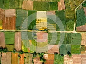 Aerial View of Vibrant Agricultural Patchwork