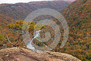 Aerial view of vibrant autumn landscape in New River Gorge National Park at the daytime