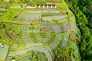 Aerial view of villa buildings in Silancur highland