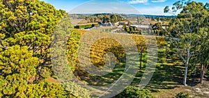 Aerial view of vineyard.