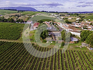 Vista aerea da vigneti un chicco di vino imposta campagna sul tramonto, Lisbona 