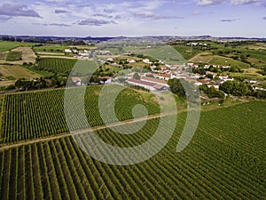 Vista aerea da vigneti un chicco di vino imposta campagna sul tramonto, Lisbona 