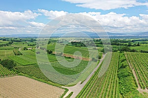 aerial view vineyard scenery at Kaiserstuhl Germany