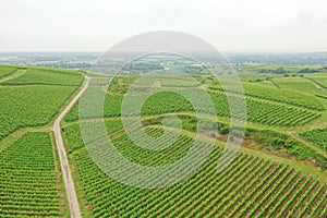 aerial view vineyard scenery at Kaiserstuhl Germany